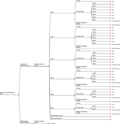 Telemedicine for Stroke: Quantifying the Long-Term National Costs and Health Benefits